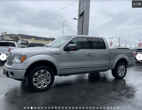 2009-ford-f-150-platinum-4wd-navi-sunroof-camera-tonno-bedslide-big-1